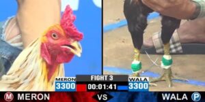 Meron Wala Là Gì - Thông Tin Thú Vị Về Cửa Cược