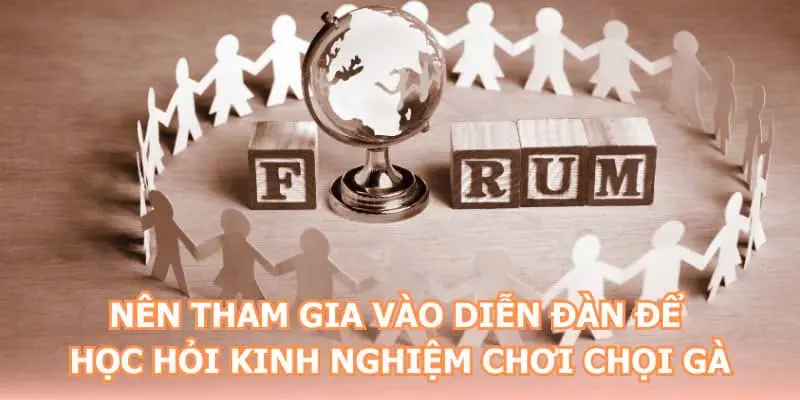 Nên tham gia vào diễn đàn để học hỏi kinh nghiệm chơi chọi gà